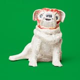 Pug Perrón